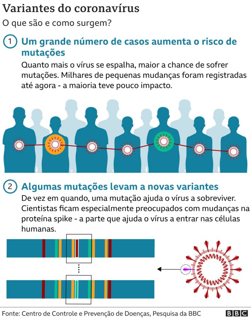 Ômicron: 4 gráficos para entender variante do coronavírus